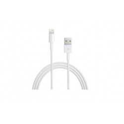 Kaapeli Apple Lightning - USB-kaapeli (0,5 m) ME291ZM/A