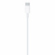 Apple-kaapeli MM0A3ZM/A USB-C Lightningiin, 1 m