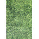 Ovimatto (80 x 150) Conceptum Hypnose Grass - Monivärinen