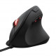 Mouse Trust GXT 144 REXX/22991