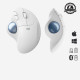 Logitech Mouse 910-005870 M575 valkoinen