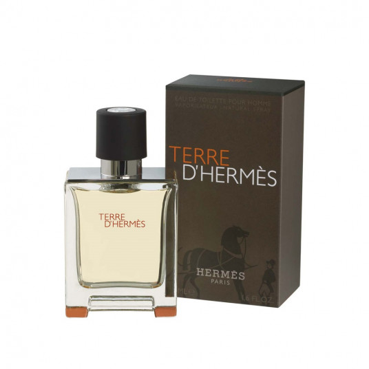 Hermes Terre D EDT Spray 50 ml miehille