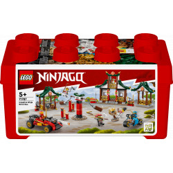 LEGO® 71787 NINJAGO® Creative Ninja...