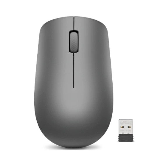 Lenovo Accessories 530 Wireless Mouse (grafiitti)