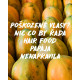 Garnier - Regeneroiva shampoo vaurioituneille hiuksille Fructis Hair Food (Repairing Papaya Shampoo) 350 ml