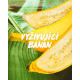 Garnier - Ravitseva shampoo kuiville hiuksille Fructis Hair Food (Banana Nourishing Shampoo) 350 ml