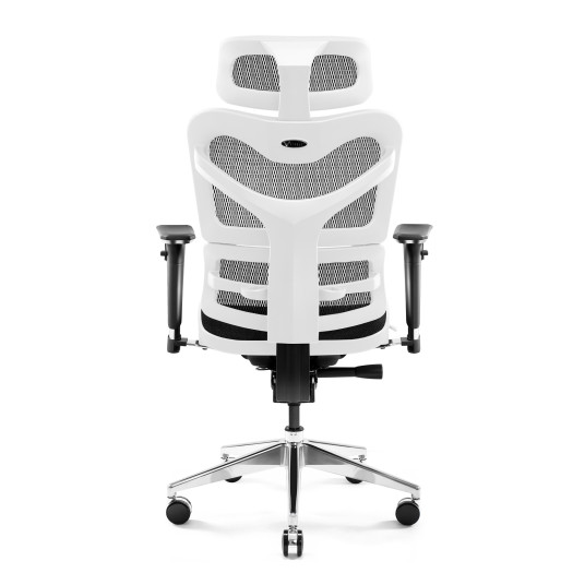 Ergonominen tuoli DIABLO V-COMMANDER: valkoinen-musta