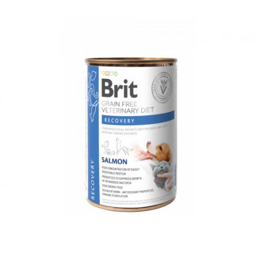 Brit GF Veterinary Diets säilykeruoka koirille ja kissoille Recovery 400 g
