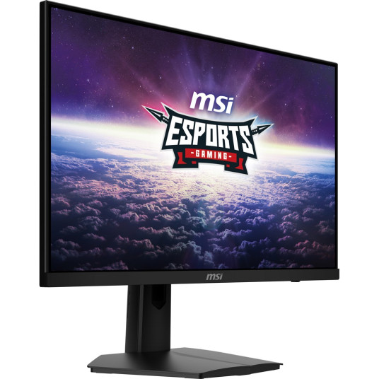 MSI G244F E2