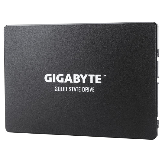 Gigabyte GP-GSTFS31100TNTD 1000 Gt, SSD