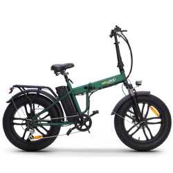 Elektrinis dviratis SKYJET 20 Nitro Pro žalias