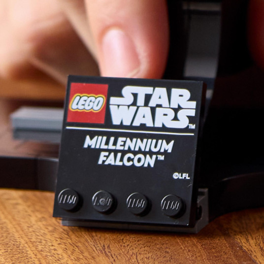 LEGO® 75375 Star Wars TM Millennium Falcon