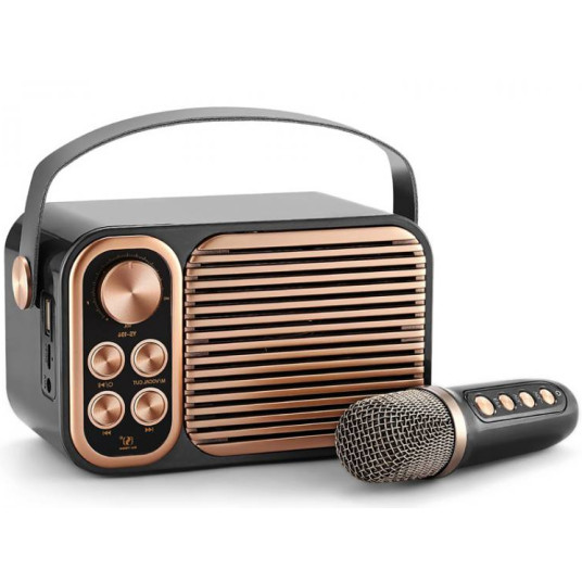 LTC YS-104 kannettava Bluetooth-kaiutin / karaoke mikrofonilla