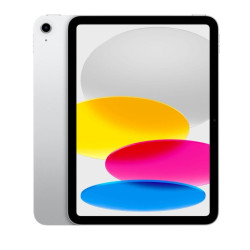 iPad 10,9 tuuman Wi-Fi 256 Gt hopea