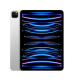 iPad Pro 11 tuuman Wi-Fi 256 Gt hopea