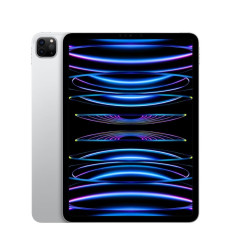 iPad Pro 11 tuuman Wi-Fi + Cellular 256 Gt hopea