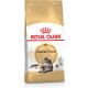 Royal Canin FBN Maine Coon Adult - kuivaruoka aikuisille kissoille - 4kg