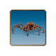 LEGO® 76434 Harry Potter TM Aragog kielletyssä metsässä