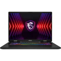 Sword 17 HX B14VFKG-008NL 17 165Hz i9-14900HX 16GB 1SSD RTX4060 W11 16GB 1SSD RTX4060 W11