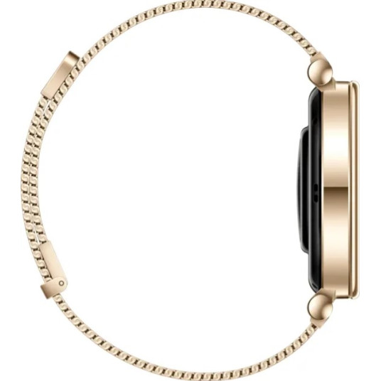 Älykello Huawei Watch GT4 41mm Gold Milanese / Aurora-B19M