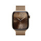 Älykello Apple Watch Series 10 GPS + Cellular 42mm Gold Titanium Case with Gold Milanese Loop