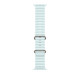 Rannekoru Apple Watch 49mm Ice Blue Ocean Band - Natural Titanium Finish