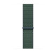 Rannekoru Apple Watch 46mm Lake Green Sport Loop