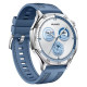 Älykello HUAWEI WATCH GT 5 46mm / Vili-B19W