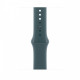 Lake Green Sport Band 46 mm - M/L