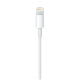 MD819ZM/A Apple Lightning to USB cable 2 m White