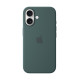 MYY83ZM/A iPhone 16 Silicone Case with MagSafe, Lake Green