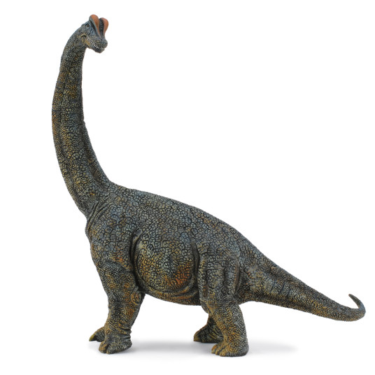 COLLECTA Brachiosaurus, Deluxe, 1:40, 88405