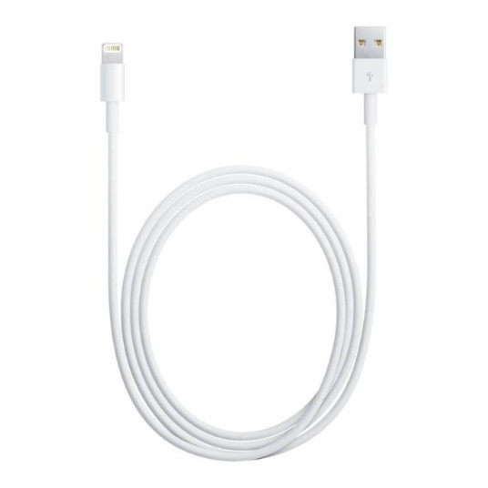 Apple Lightning MD819ZM/A USB data and charging cable 2m