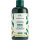 The Body Shop - Nourishing conditioner for dry hair Banana (Conditioner) 250 ml