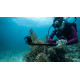 Toimintakamera GoPro Hero 13 Accessory Bundle
