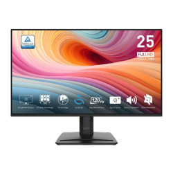 Näyttö PRO MP251 E2 24,5 tuuman LED/FHD/Flat/120Hz/Musta näyttö
