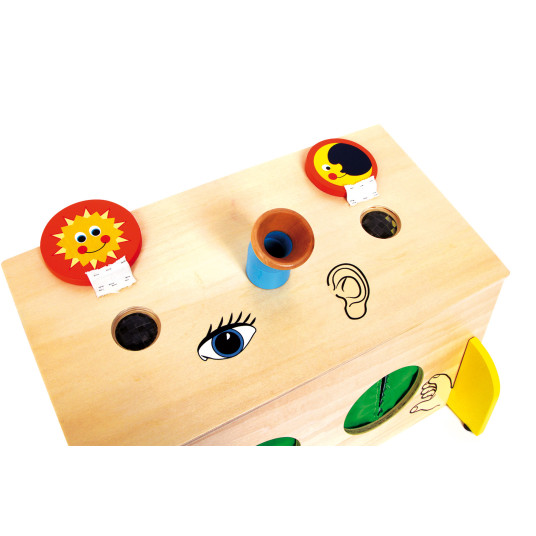 Sense Box