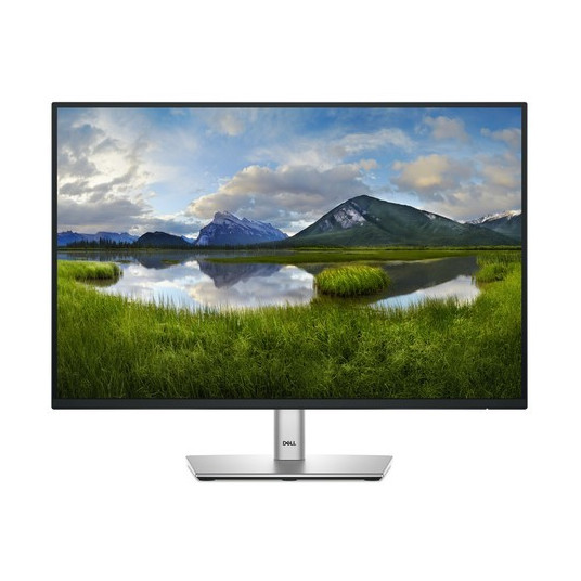 LCD-näyttö|DELL|P2425|24"|Business|Paneeli IPS|1920x1200|16:10|100Hz|Matte|8ms|Kääntyvä|Kääntyvä|Korkeussäädettävä|Kallistus|210BMJF