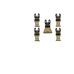DEWALT Multi-tool set of jigsaw blades, 5 pieces