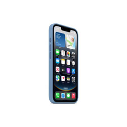 APPLE iPhone 16e Silikoni Case Winter Bl