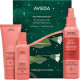 " Aveda NutriPlenish Light Moisture - Kuivien hiusten hoito -lahjasetti