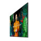Professional monitor QH75C 75 inches Matte 24h/7,700(cd/m2) 3840 x 2160 (UHD) S10 Player (Tizen 7) Wi-Fi/BT 3 years On-Site (LH75QHCEBGCXEN)