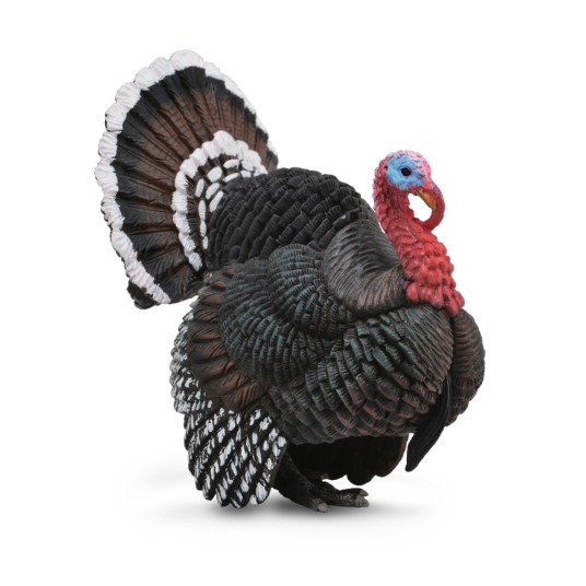 COLLECTA Turkki, (L), 88762