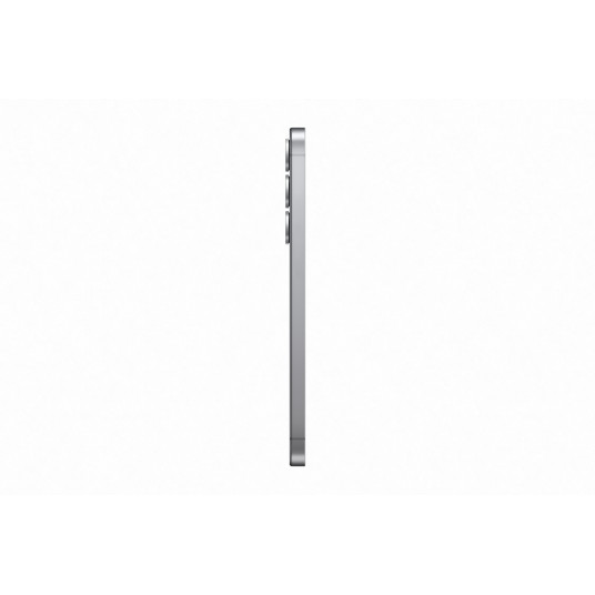 Älypuhelin Samsung Galaxy S25+ 5G 256GB Silver Shadow (EU)