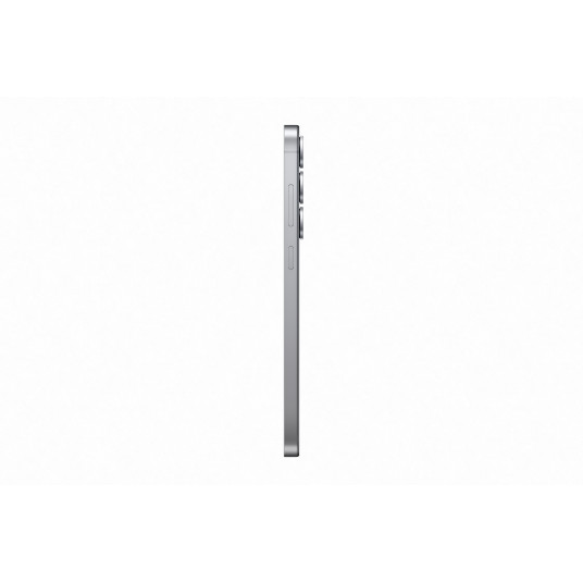 Älypuhelin Samsung Galaxy S25+ 5G 256GB Silver Shadow (EU)