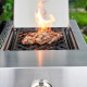 Dujinis grilis Char-Broil Professional Pro S 4