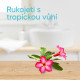 Gillette - Venus Tropical kertakäyttörasvat 6 kpl.