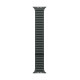 Rannekoru Apple Watch 41mm Evergreen Magnetic Link - M/L
