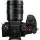 Panasonic Lumix GH7 + 12-60mm F/2.8-4.0 Leica DG Vario Elmarit ASPH POWER OIS (12-60mm F/2.8-4.0 Leica DG Vario Elmarit ASPH POWER OIS)