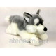 Husky koira 30cm 02882